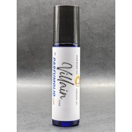 Villain for Women by Christian Audigier