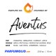 Aventus by Creed