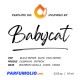 Babycat by Yves Saint Laurent
