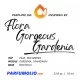 Flora Gorgeous Gardenia by Gucci Flora Gorgeous Gardenia by Gucci